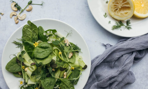 Vegan Nutrition Health Coach Certification