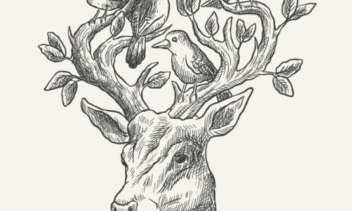 Drawing and Shading: Complete Course